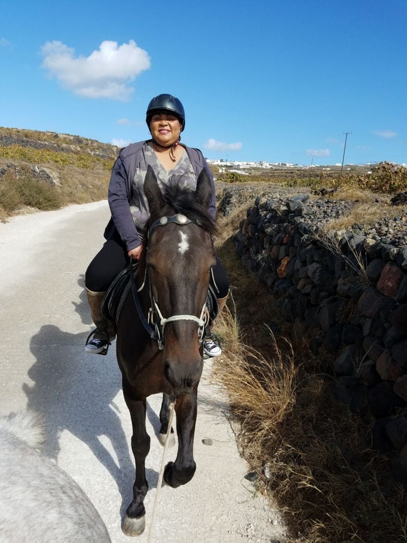 Badger garbage disposal picture