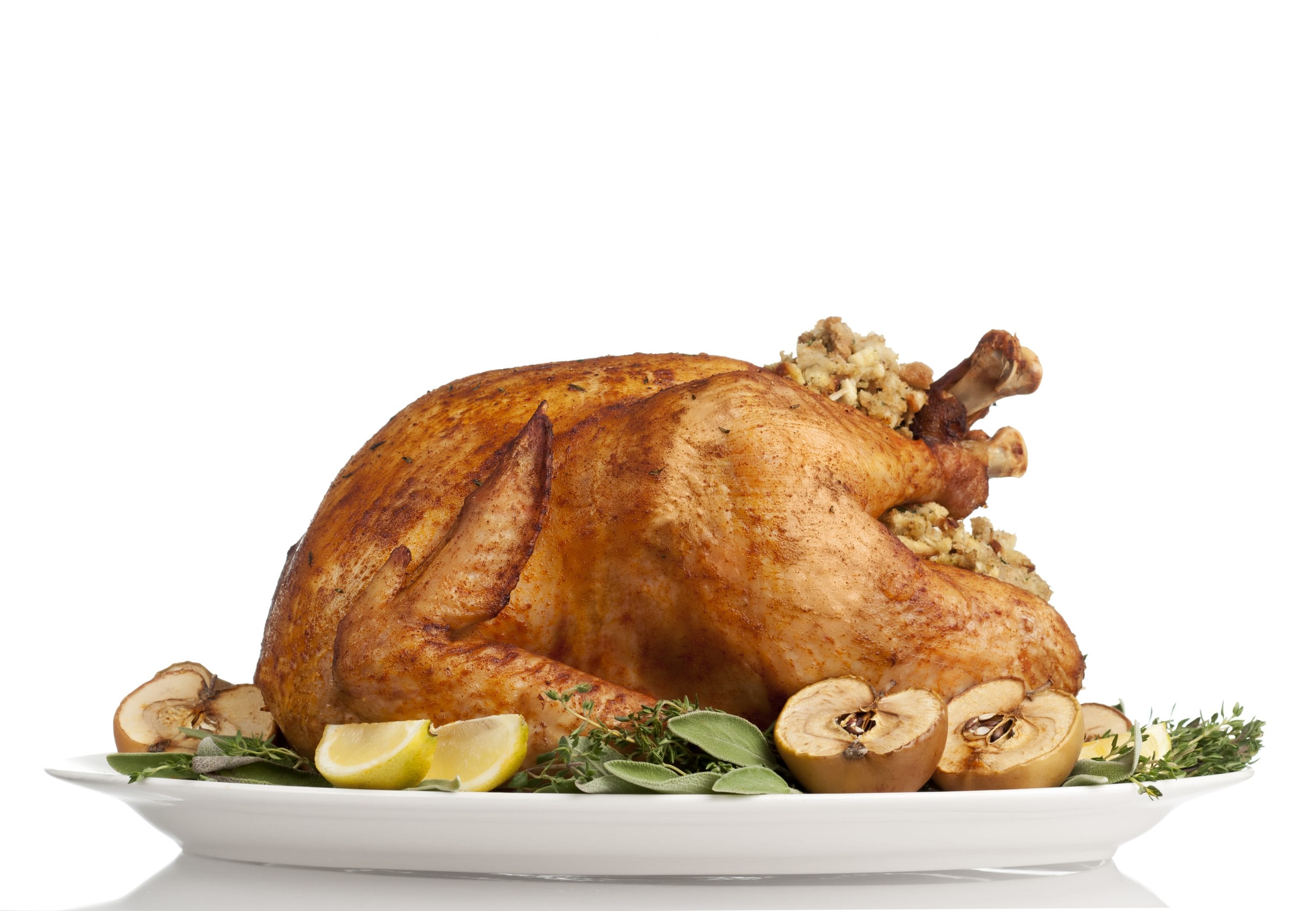 Kick-start a healthy new year by gobbling up more turkey