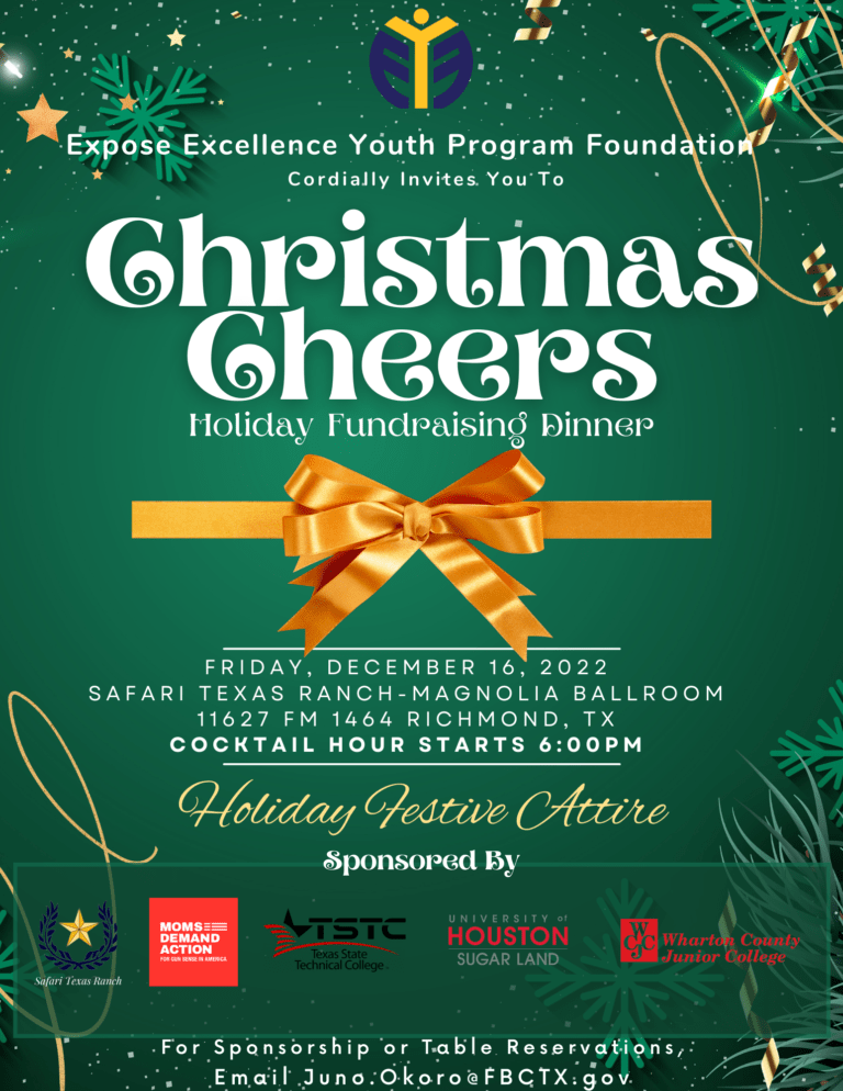 Expose Excellence Christmas Fundraising Dinner