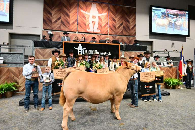 Houston Livestock Show and Rodeo’s Jr. Market Steer Grand Champion Ties Record at $1 Million