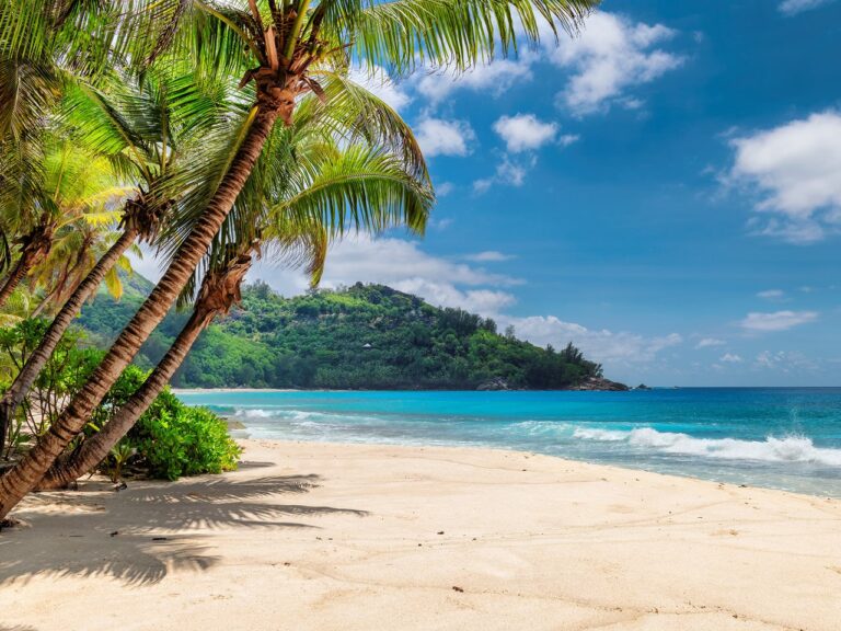 5 Beaches in the U.S. that Will Surprise You